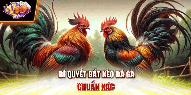 Bí quyết bắt kèo đá gà chuẩn xác