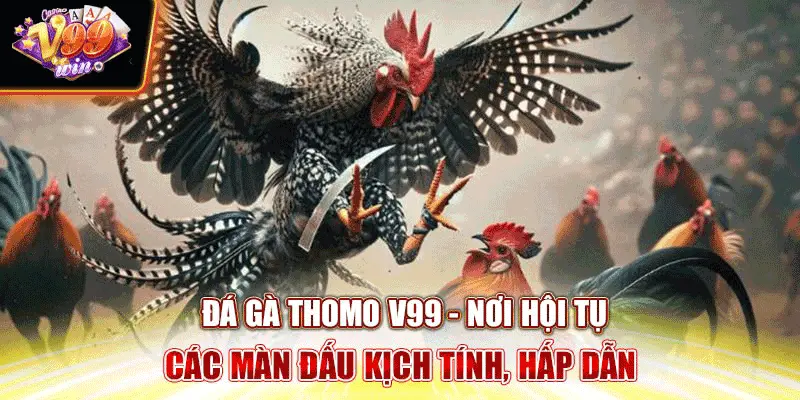 da-ga-thomo-v99-noi-hoi-tu-cac-man-dau-kich-tinh-hap-dan