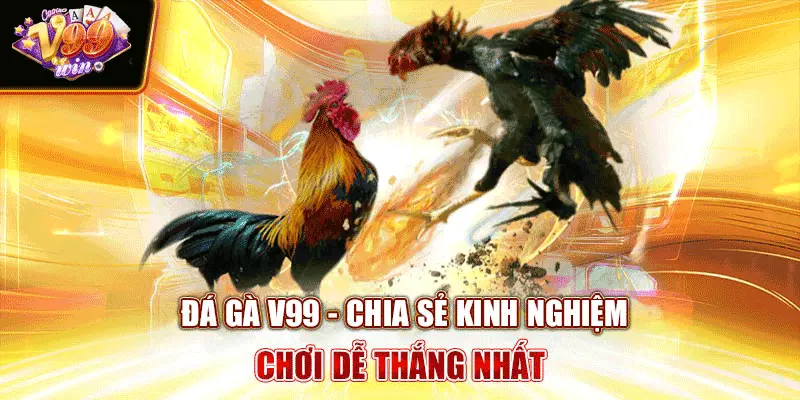 Đá Gà V99 - Chia Sẻ Kinh Nghiệm Chơi Dễ Thắng Nhất