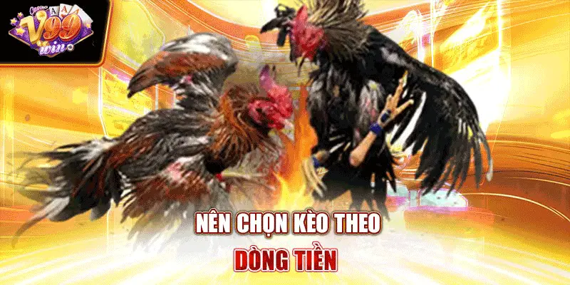 Nên chọn kèo theo dòng tiền