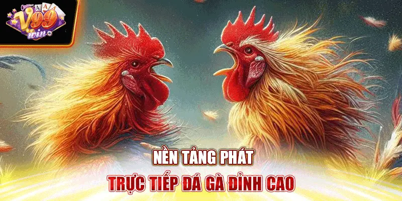 Nền tảng phát trực tiếp đá gà đỉnh cao