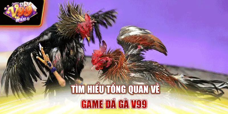 Tìm hiểu tổng quan về game đá gà V99